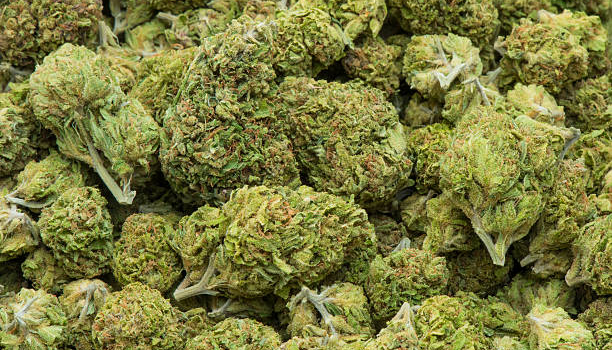 What are the effects of allowing kids to take medical cannabis?